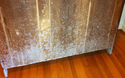 How to Remove Mold from Wood Image