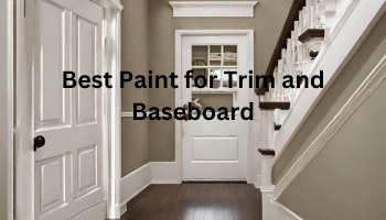 Best Paint for Trim and Baseboard