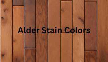 alder stain colors