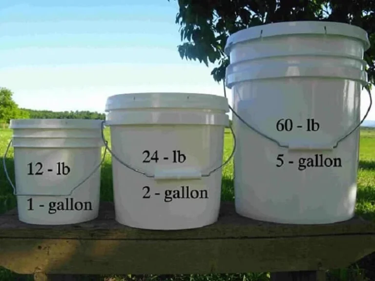 How Much Does a Gallon of Paint Weigh
