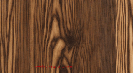 Acacia wood grain