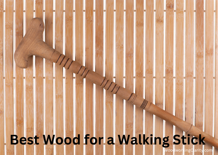 Best Wood for a Walking Stick