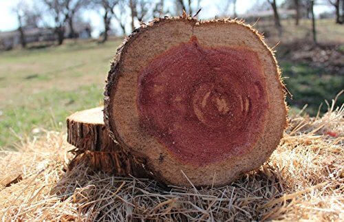Is Cedar a Hardwood or Softwood image