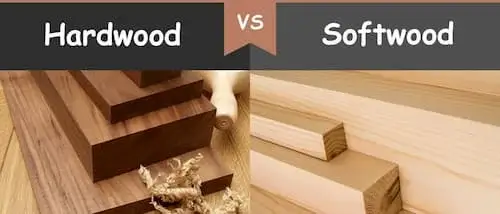 Is Cedar a Hardwood or Softwood