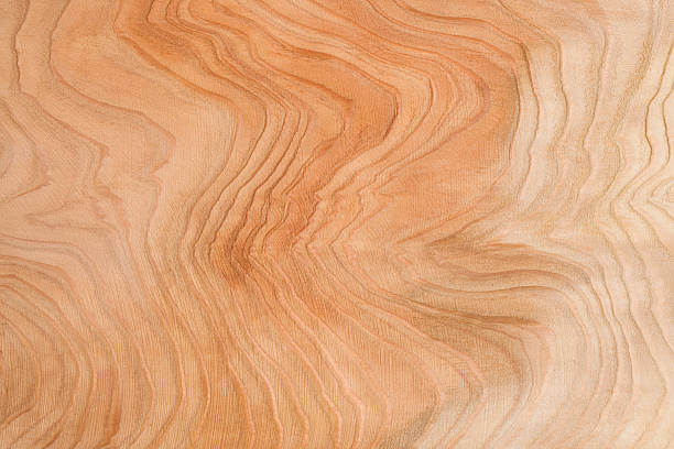 Cedar Wood