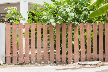 Best Wood for Outdoor Fence Image