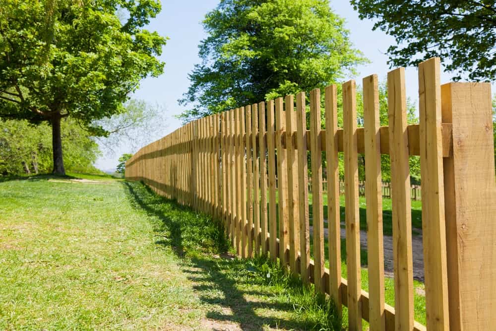 Best Wood for Outdoor Fence