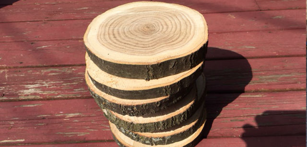 How to Dry Wood Slices