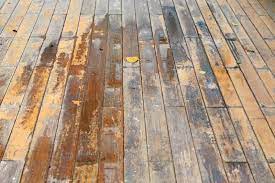 Can You Stain Wet Wood Image