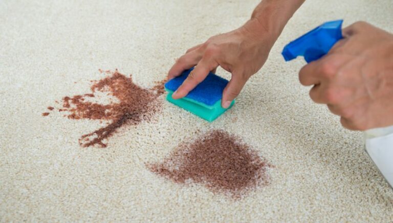 How to Get Wood Stain Out Of Carpet