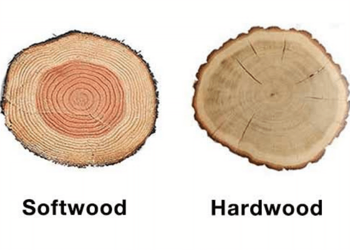  Check the Wood End-grain