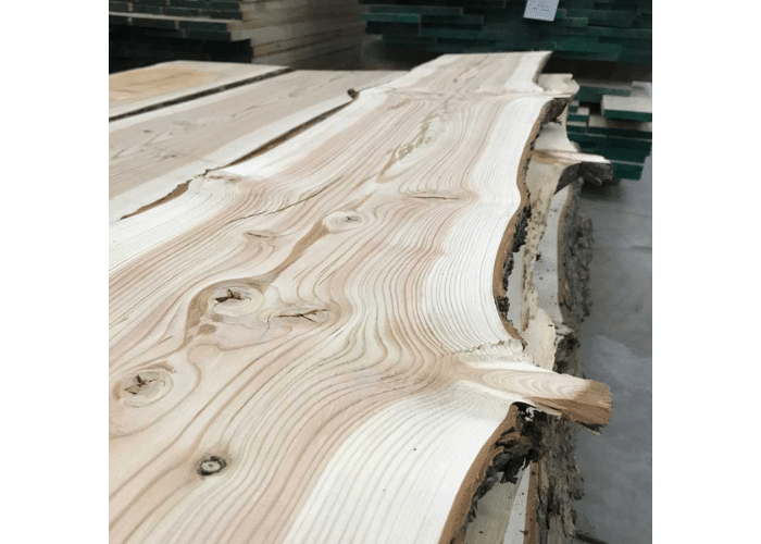 Douglas Fir