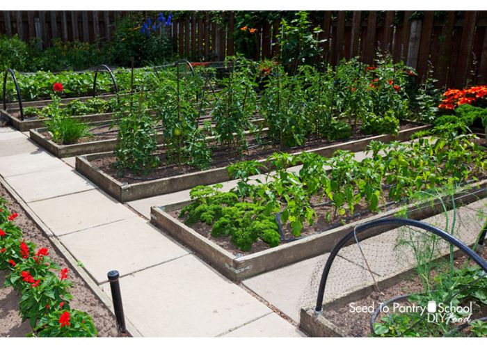 Raised Garden Beds