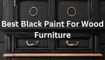 Best Black Paint For Wood Furniture