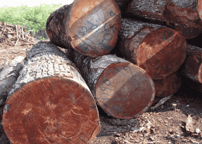 Mahogany