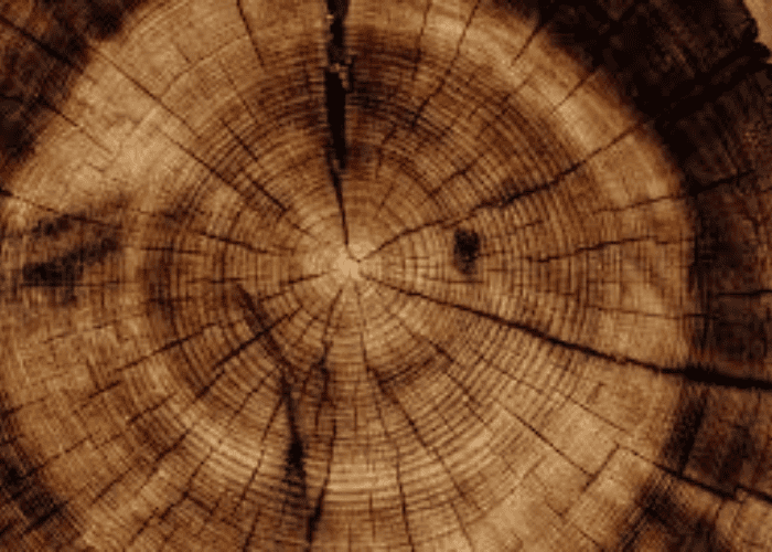 Teak wood