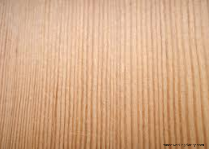 Douglas Fir