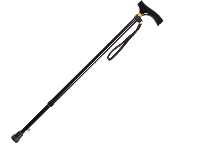 Best Wood for a Walking Stick